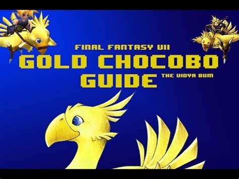ff7 gold chocobo guide.